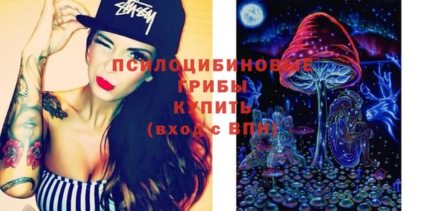 дурь Михайловск