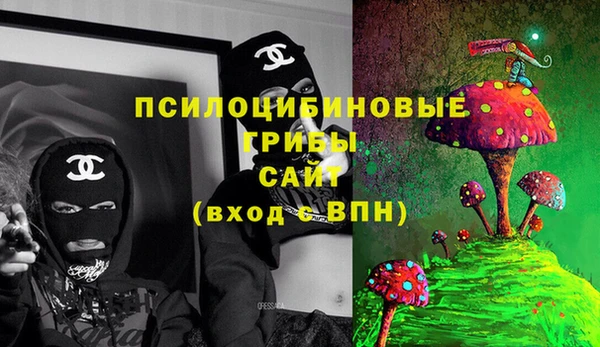 дурь Михайловск