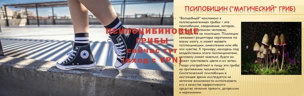 MDMA Premium VHQ Михайловка