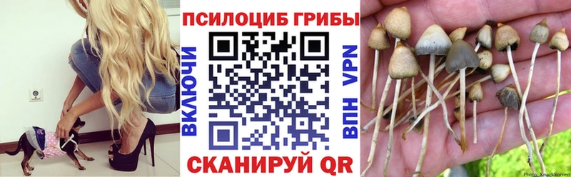 Галлюциногенные грибы ЛСД  Остров 